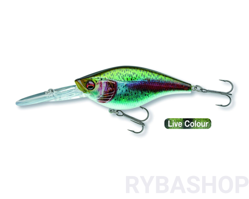 Bild von Daiwa Prorex Crank Bait 80DR, Live Rainbow Trout