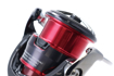 Daiwa Fuego LT 2500 3